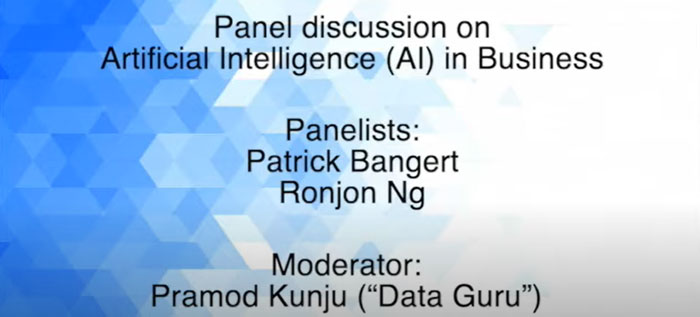 Panel Discussion on Artificial Intelligence (AI) in Business